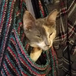 Meet your Posher, Barb